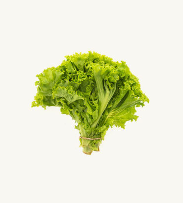Lettuce